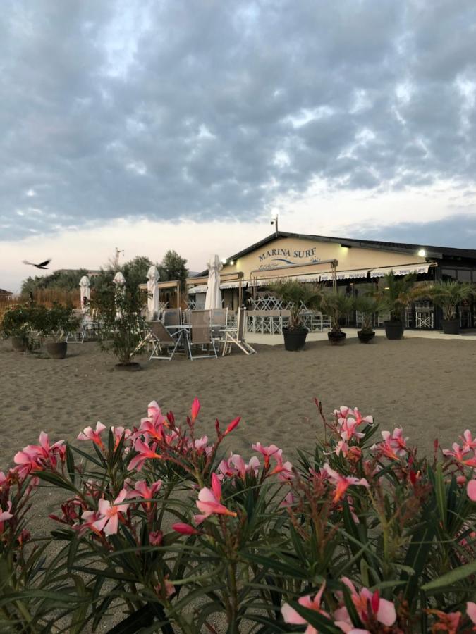 Marina Surf Hotell Năvodari Eksteriør bilde