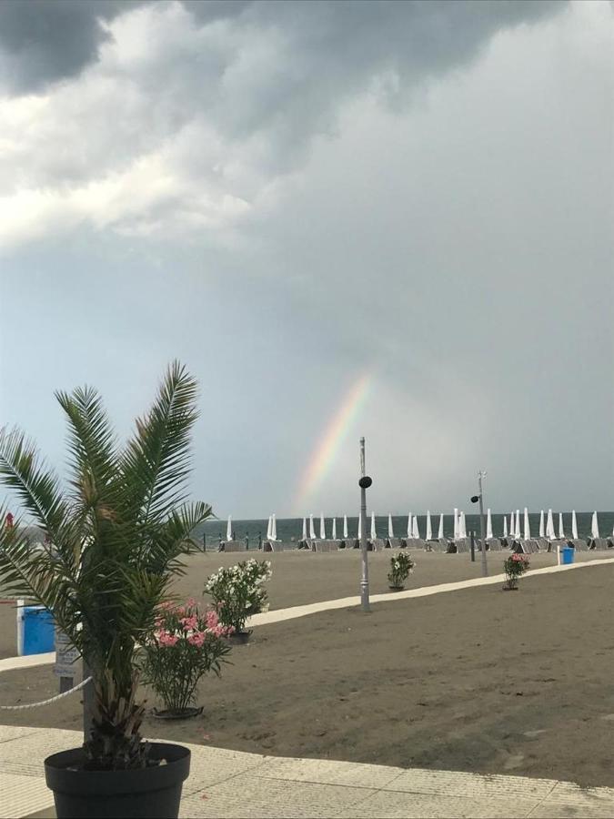 Marina Surf Hotell Năvodari Eksteriør bilde